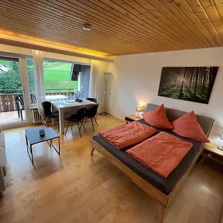 アパート Haus Am Sonnenberg, Todtnauberg, 204, Direkt Am Skilift-skipiste, Naehe Feldberg