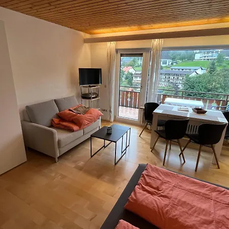アパート Haus Am Sonnenberg, Todtnauberg, 204, Direkt Am Skilift-skipiste, Naehe Feldberg *