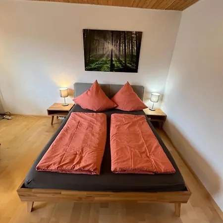 Haus Am Sonnenberg, Todtnauberg, 204, Direkt Am Skilift-skipiste, Naehe Feldberg * トートナウ